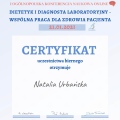 Powiększ obraz: certificate 5