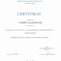 Powiększ obraz: certificate 8