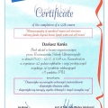Powiększ obraz: certificate 21