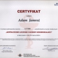 Powiększ obraz: certificate 2