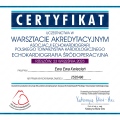 Powiększ obraz: certificate 10