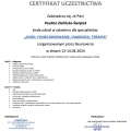 Powiększ obraz: certificate 4