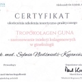 Powiększ obraz: certificate 2