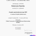Powiększ obraz: certificate 11