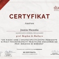Powiększ obraz: certificate 2