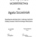 Powiększ obraz: certificate 6