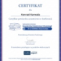 Powiększ obraz: certificate 6