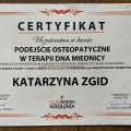 Powiększ obraz: certificate 3