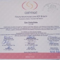Powiększ obraz: certificate 4