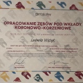 Powiększ obraz: certificate 3
