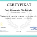 Powiększ obraz: certificate 8