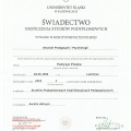 Powiększ obraz: certificate 9