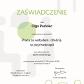Powiększ obraz: certificate 40
