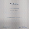 Powiększ obraz: certificate 5