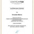 Powiększ obraz: certificate 1