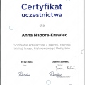 Powiększ obraz: certificate 22