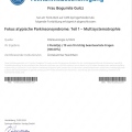 Powiększ obraz: certificate 11