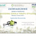 Powiększ obraz: certificate 11