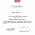 Powiększ obraz: certificate 19