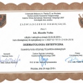 Powiększ obraz: certificate 6