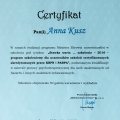 Powiększ obraz: certificate 4