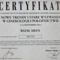 Powiększ obraz: certificate 20