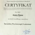 Powiększ obraz: certificate 2
