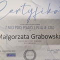 Powiększ obraz: certificate 2