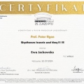 Powiększ obraz: certificate 6