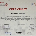 Powiększ obraz: certificate 1