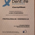 Powiększ obraz: certificate 9