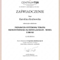 Powiększ obraz: certificate 8