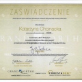 Powiększ obraz: certificate 6