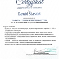 Powiększ obraz: certificate 4