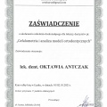 Powiększ obraz: certificate 14