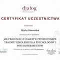Powiększ obraz: certificate 7