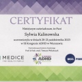 Powiększ obraz: certificate 7