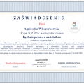 Powiększ obraz: certificate 19