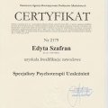 Powiększ obraz: certificate 1