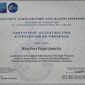 Powiększ obraz: certificate 5