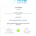 Powiększ obraz: certificate 4