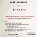 Powiększ obraz: certificate 4