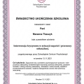 Powiększ obraz: certificate 1