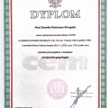 Powiększ obraz: certificate 1