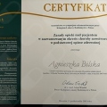 Powiększ obraz: certificate 9