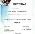 Powiększ obraz: certificate 44
