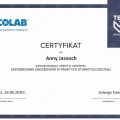 Powiększ obraz: certificate 3