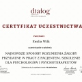 Powiększ obraz: certificate 4