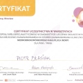 Powiększ obraz: certificate 95