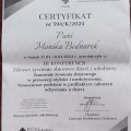Powiększ obraz: certificate 3